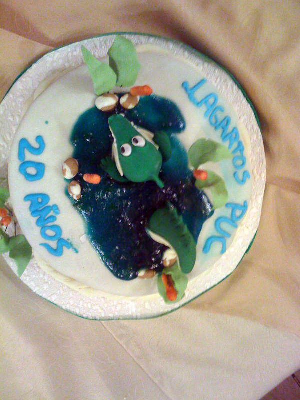 La torta Lagarta