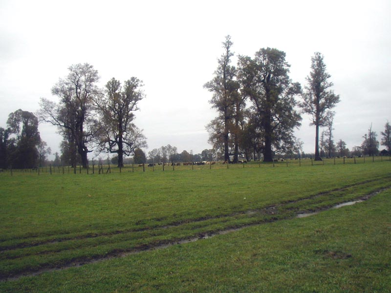 22-may recorrido a la granja Mohr