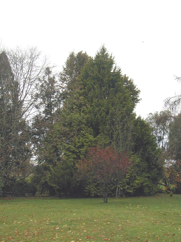 23-may la granja Mohr