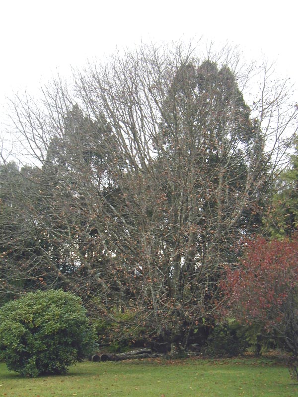 23-may la granja Mohr
