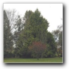 [Click to enlarge image]